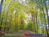 Bild zum Eintrag (920500-177)