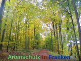 Bild zum Eintrag (920500-177)