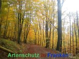 Bild zum Eintrag (920506-177)