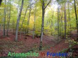 Bild zum Eintrag (920507-177)