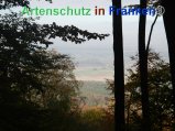 Bild zum Eintrag (920513-177)