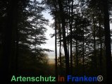 Bild zum Eintrag (920514-177)