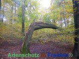 Bild zum Eintrag (920515-177)