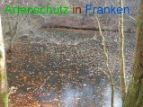 Bild zum Eintrag (920559-177)