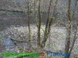 Bild zum Eintrag (920562-177)