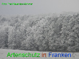 Bild zum Eintrag (920596-177)