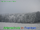 Bild zum Eintrag (920597-177)