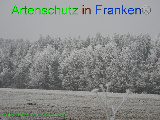 Bild zum Eintrag (920598-177)