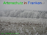 Bild zum Eintrag (920599-177)