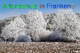 Bild zum Eintrag (920621-177)