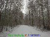 Bild zum Eintrag (920627-177)