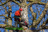 Bild zum Eintrag (920642-177)
