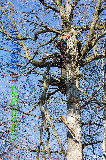Bild zum Eintrag (920654-177)