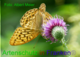 Bild zum Eintrag (920915-177)