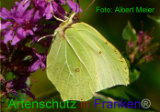 Bild zum Eintrag (920917-177)