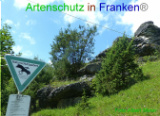 Bild zum Eintrag (920957-177)