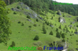 Bild zum Eintrag (920960-177)