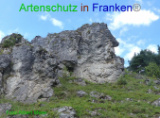 Bild zum Eintrag (920961-177)