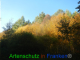 Bild zum Eintrag (921054-177)