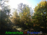 Bild zum Eintrag (921064-177)