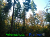 Bild zum Eintrag (921065-177)