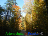 Bild zum Eintrag (921067-177)