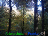 Bild zum Eintrag (921069-177)