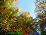 Bild zum Eintrag (921071-177)