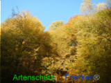 Bild zum Eintrag (921073-177)