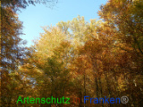 Bild zum Eintrag (921077-177)