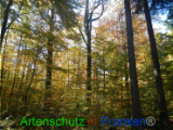 Bild zum Eintrag (921095-177)