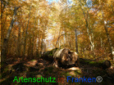 Bild zum Eintrag (921096-177)