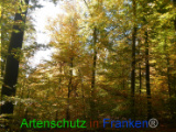 Bild zum Eintrag (921098-177)