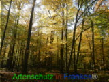 Bild zum Eintrag (921107-177)