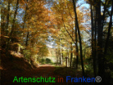 Bild zum Eintrag (921113-177)