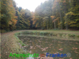 Bild zum Eintrag (921117-177)