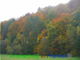 Bild zum Eintrag (921118-177)