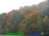 Bild zum Eintrag (921120-177)