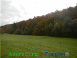 Bild zum Eintrag (921121-177)