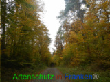 Bild zum Eintrag (921135-177)