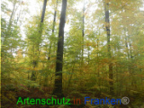 Bild zum Eintrag (921139-177)