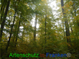 Bild zum Eintrag (921141-177)