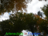 Bild zum Eintrag (921143-177)