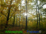 Bild zum Eintrag (921148-177)