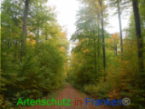 Bild zum Eintrag (921152-177)