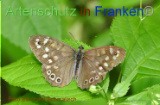 Bild zum Eintrag (921191-177)