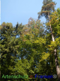Bild zum Eintrag (921781-177)
