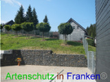 Bild zum Eintrag (921863-177)