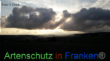 Bild zum Eintrag (922033-177)