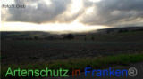 Bild zum Eintrag (922034-177)